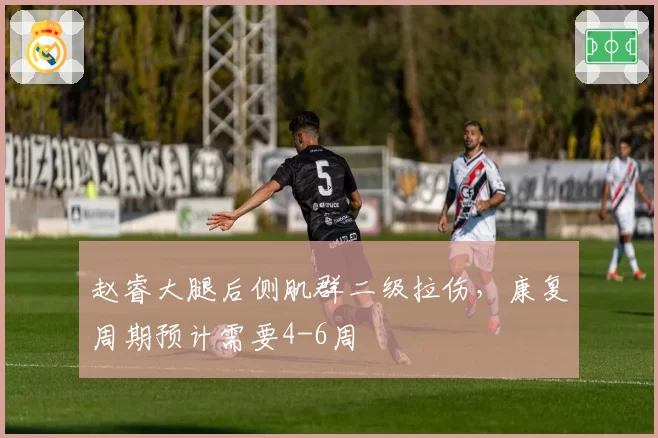 赵睿大腿后侧肌群二级拉伤，康复周期预计需要4-6周