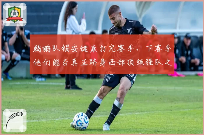 鹈鹕队锡安健康打完赛季，下赛季他们能否真正跻身西部顶级强队之列？
