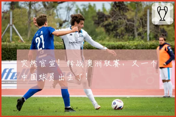突然官宣！转战澳洲联赛，又一个中国球员出去了！
