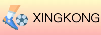 XINGKONG「官方」星空体育 logo